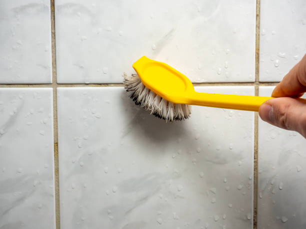 Best Same-Day Mold Removal  in Depew, NY