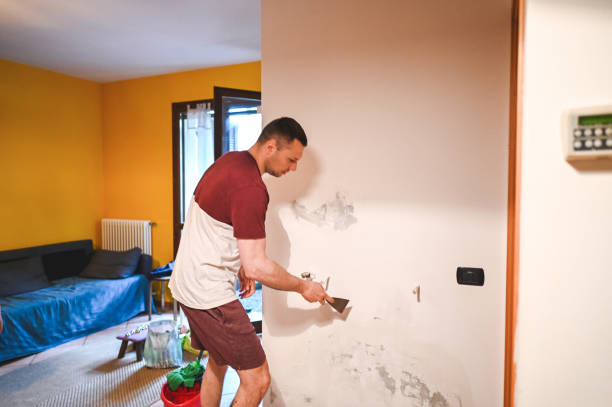 Trusted Depew, NY Mold Removal Experts