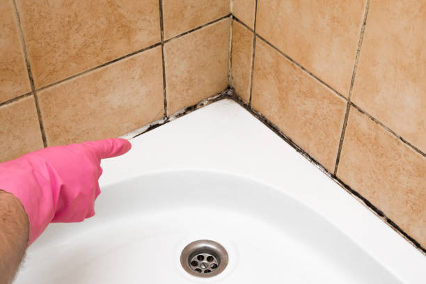 Best Mold Cleaning Services  in Depew, NY